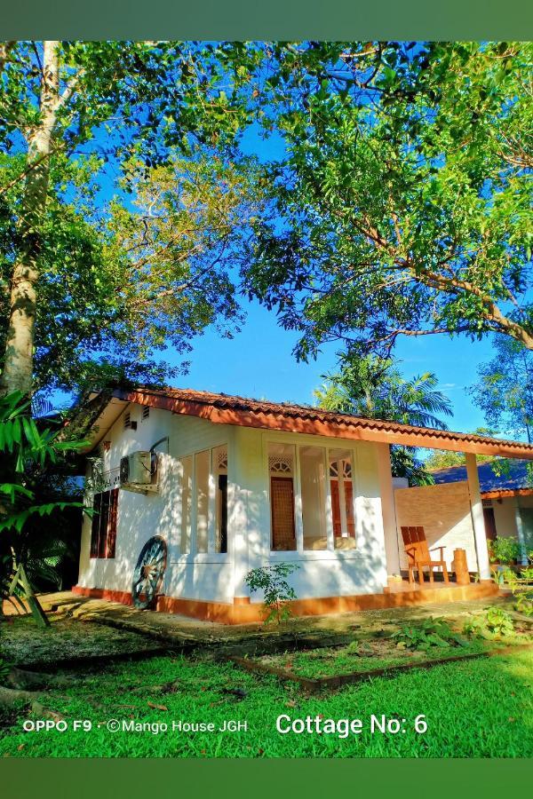 Mango House Japanese Guest House Negombo Eksteriør billede