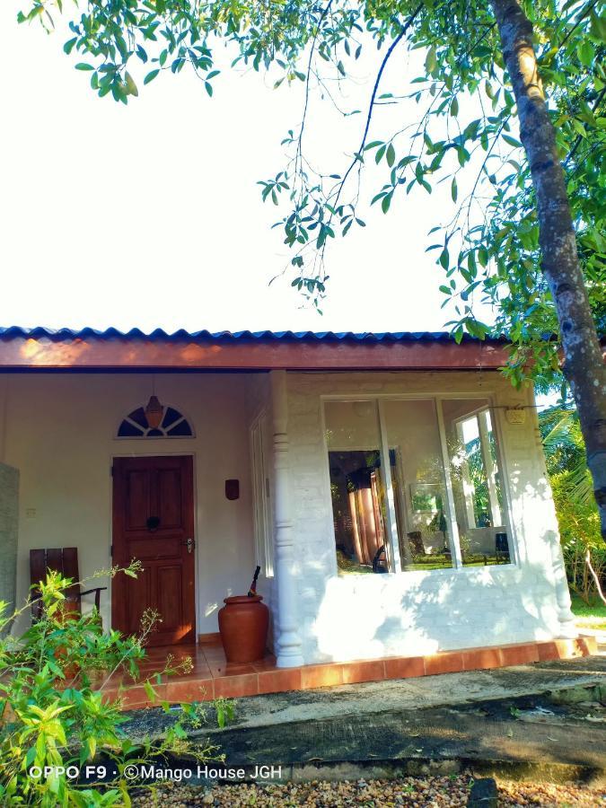 Mango House Japanese Guest House Negombo Eksteriør billede