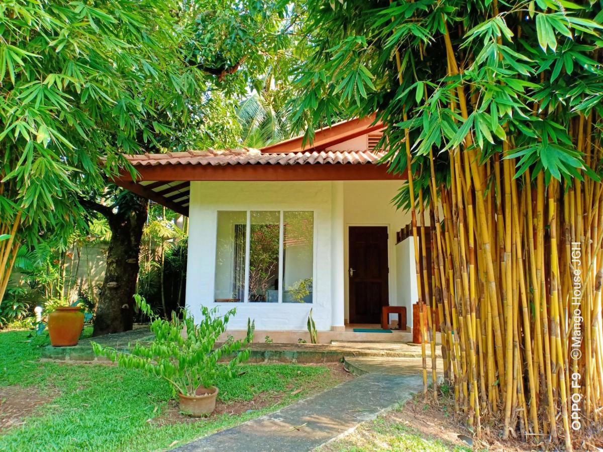 Mango House Japanese Guest House Negombo Eksteriør billede