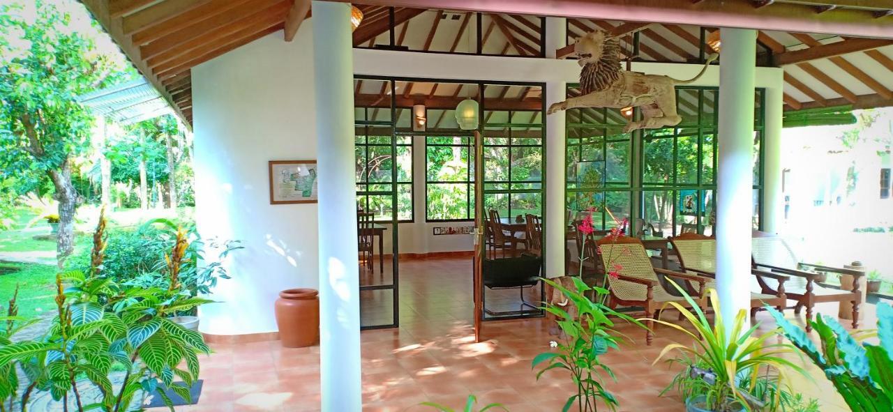 Mango House Japanese Guest House Negombo Eksteriør billede