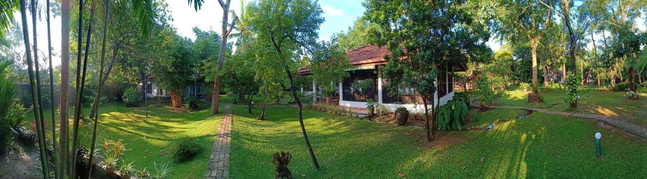 Mango House Japanese Guest House Negombo Eksteriør billede