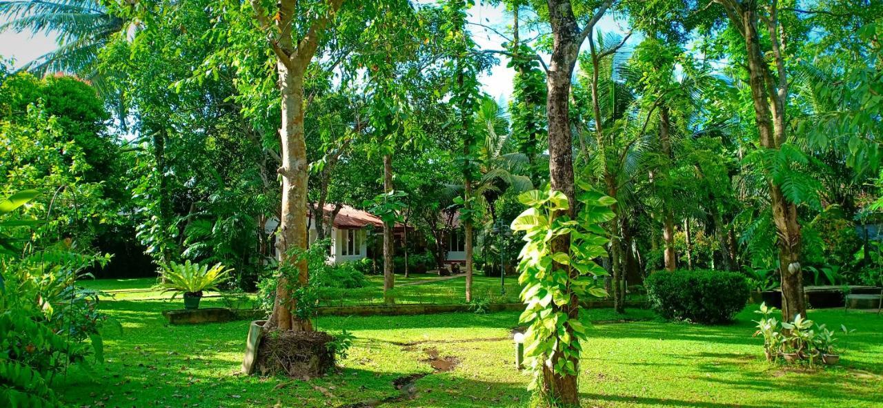 Mango House Japanese Guest House Negombo Eksteriør billede